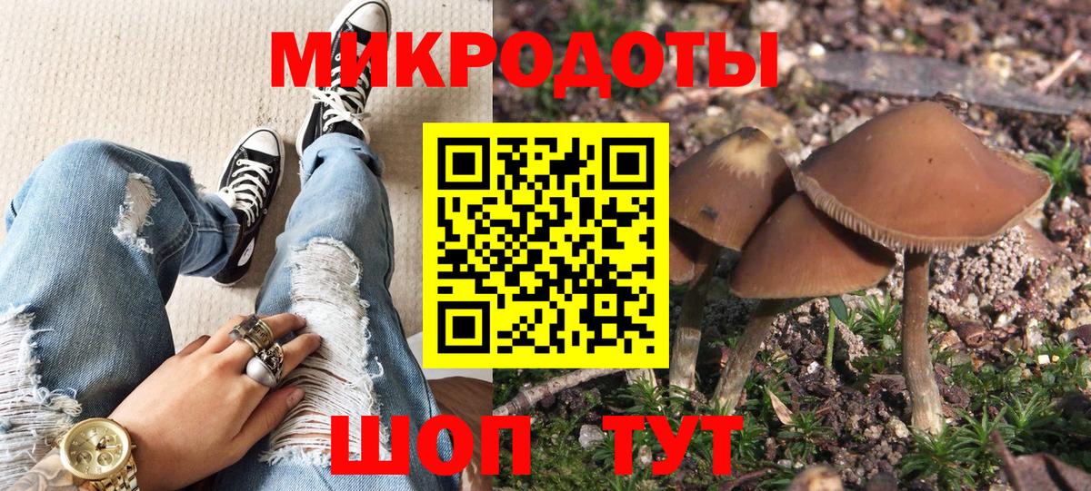 Псилоцибиновые грибы Psilocybe Новоалександровск